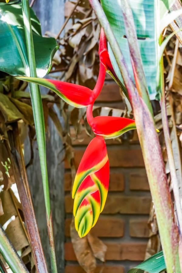 Apartmán Bahia Do Sonho Bombinhas Exteriér fotografie
